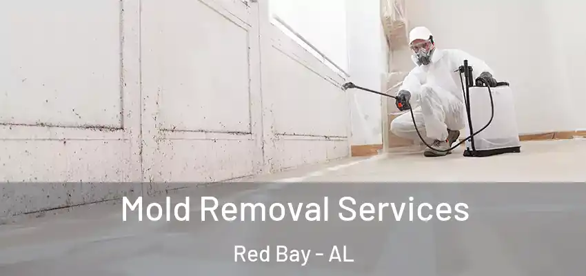  Mold Removal Services Red Bay - AL