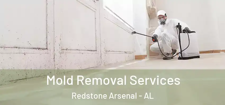  Mold Removal Services Redstone Arsenal - AL