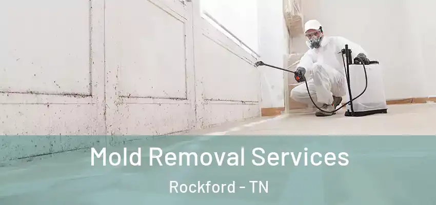  Mold Removal Services Rockford - TN