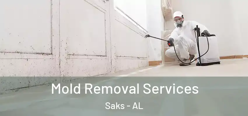  Mold Removal Services Saks - AL