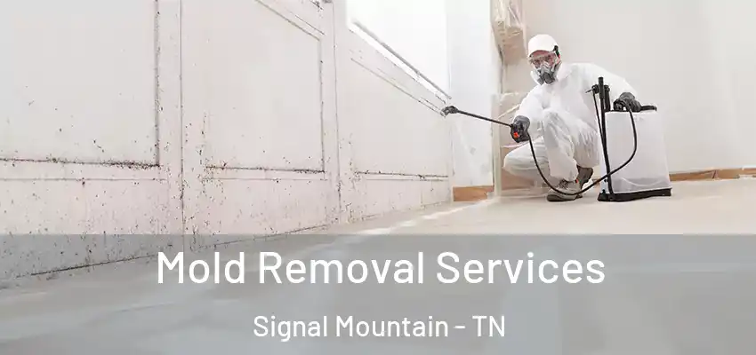 Mold Removal Services Signal Mountain - TN