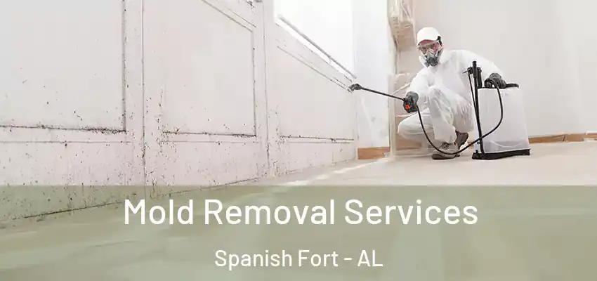 Mold Removal Services Spanish Fort - AL