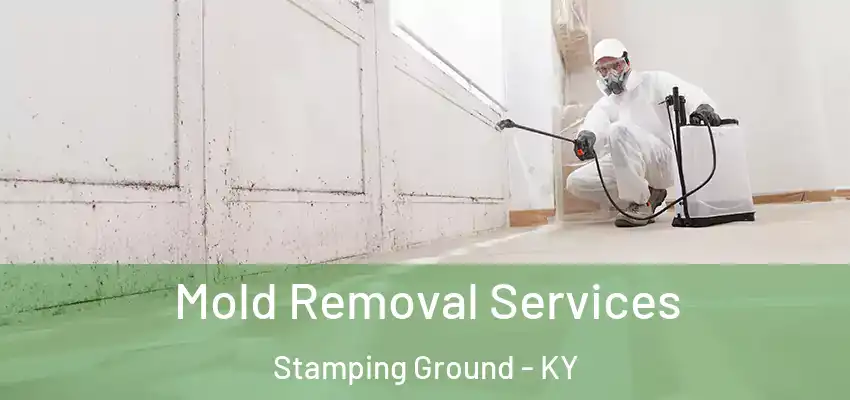 Mold Removal Services Stamping Ground - KY
