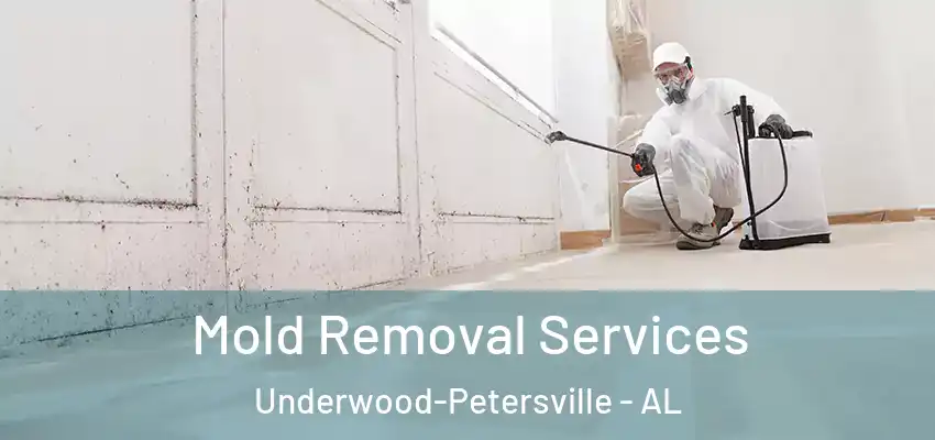  Mold Removal Services Underwood-Petersville - AL