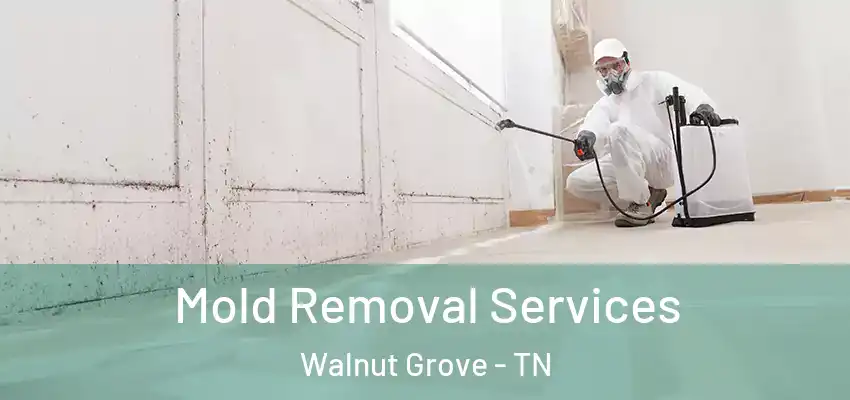 Mold Removal Services Walnut Grove - TN