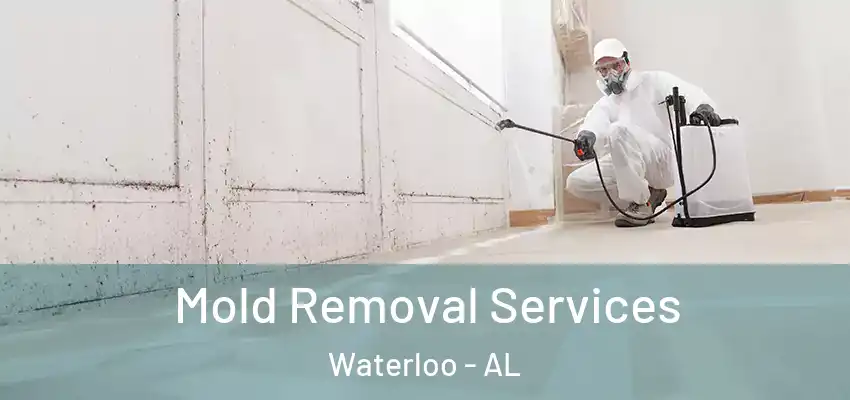 Mold Removal Services Waterloo - AL