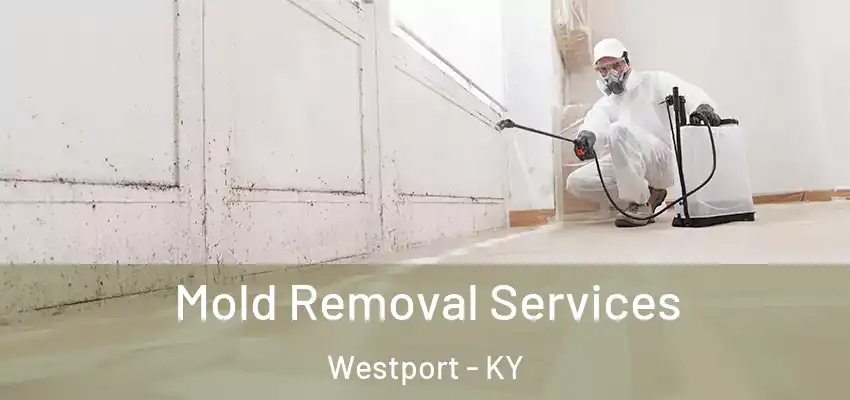 Mold Removal Services Westport - KY