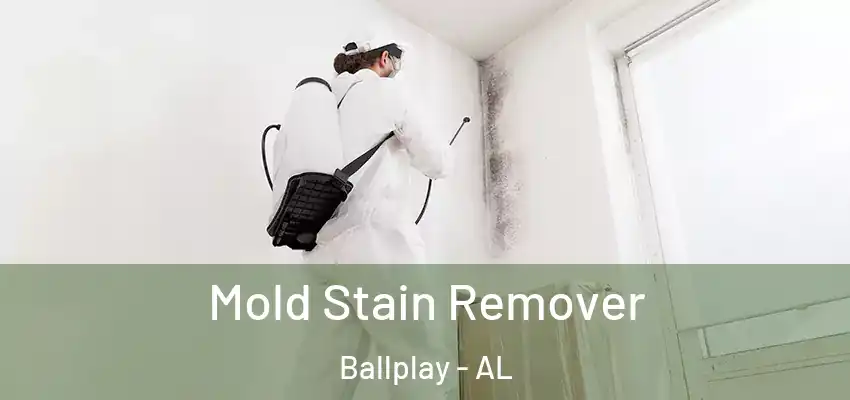  Mold Stain Remover Ballplay - AL