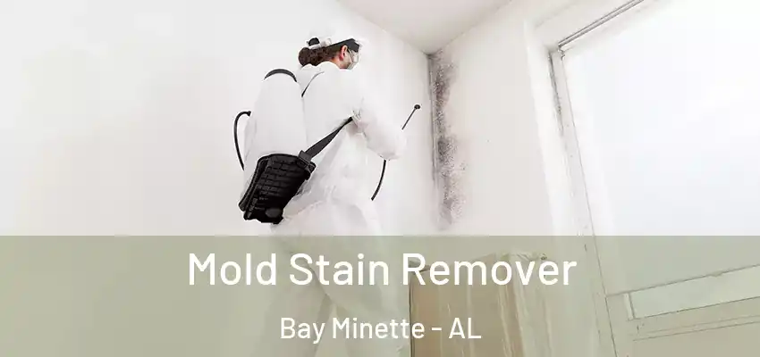 Mold Stain Remover Bay Minette - AL