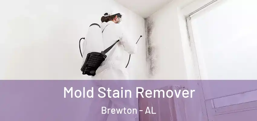  Mold Stain Remover Brewton - AL