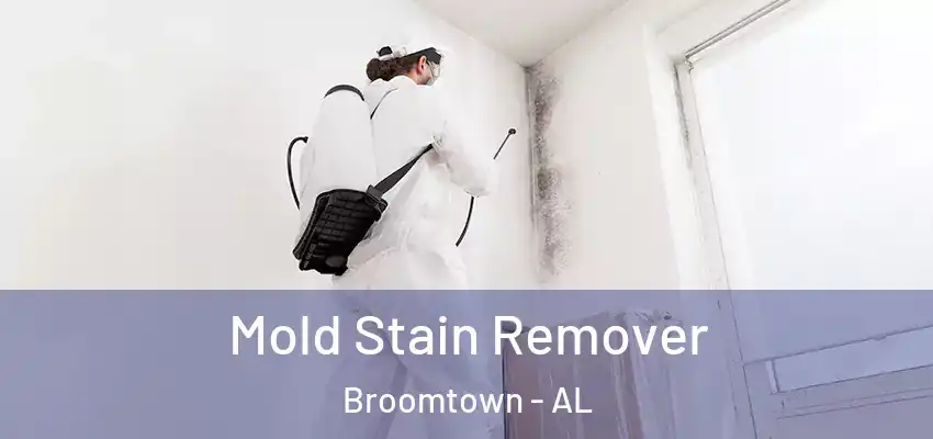 Mold Stain Remover Broomtown - AL