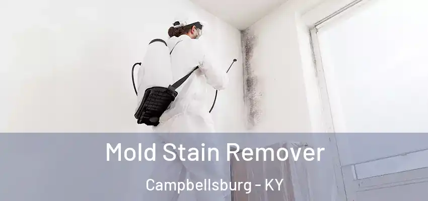 Mold Stain Remover Campbellsburg - KY
