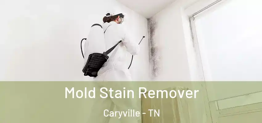 Mold Stain Remover Caryville - TN