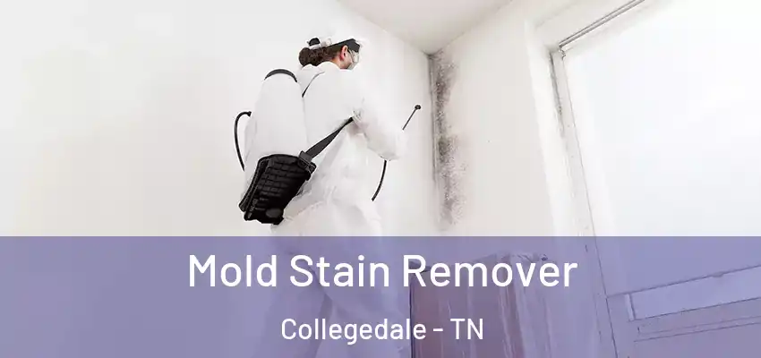  Mold Stain Remover Collegedale - TN