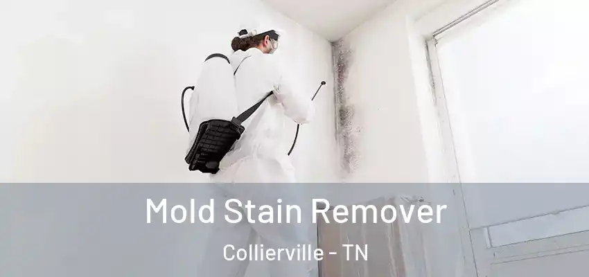  Mold Stain Remover Collierville - TN
