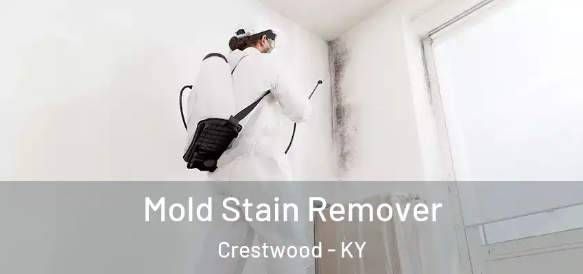  Mold Stain Remover Crestwood - KY