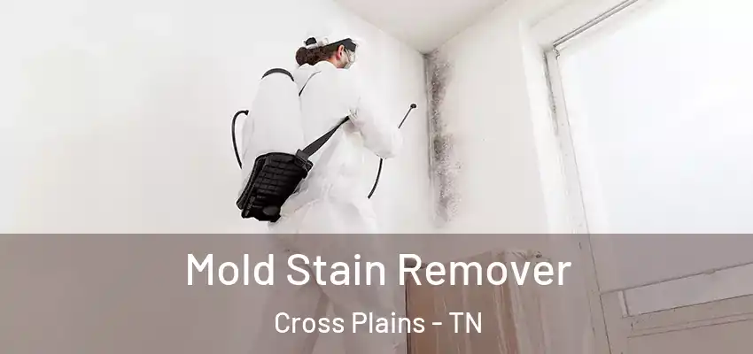  Mold Stain Remover Cross Plains - TN