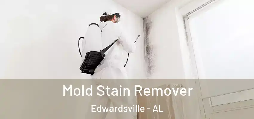  Mold Stain Remover Edwardsville - AL