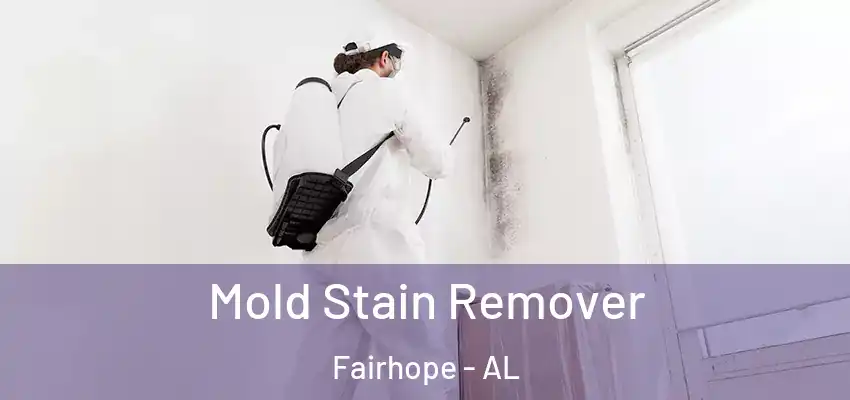  Mold Stain Remover Fairhope - AL