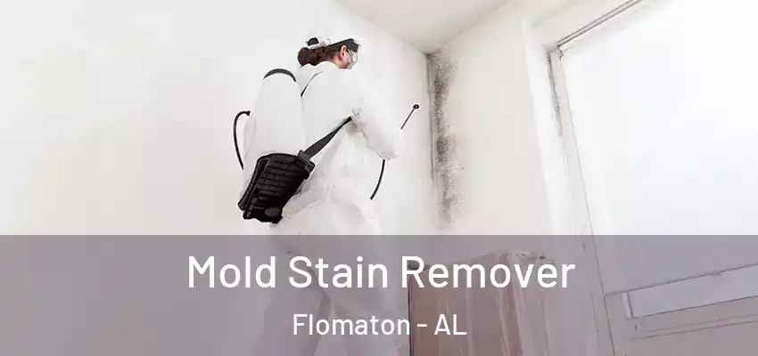  Mold Stain Remover Flomaton - AL