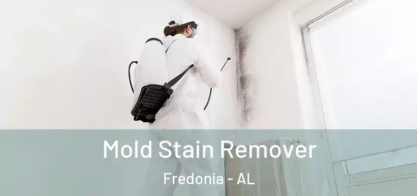  Mold Stain Remover Fredonia - AL
