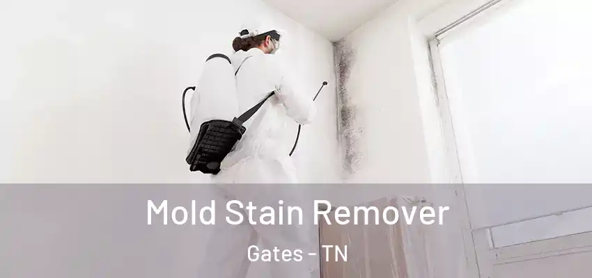  Mold Stain Remover Gates - TN