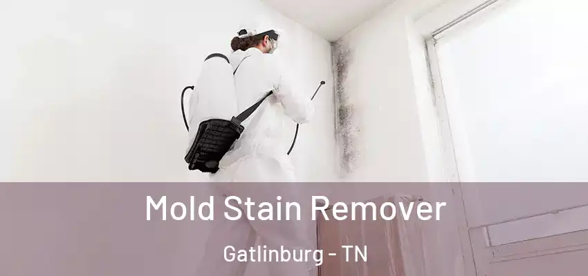 Mold Stain Remover Gatlinburg - TN