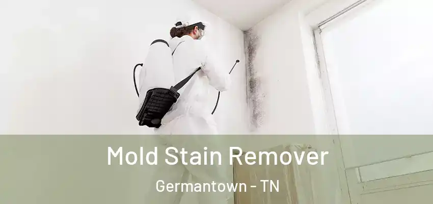 Mold Stain Remover Germantown - TN