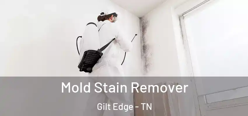  Mold Stain Remover Gilt Edge - TN