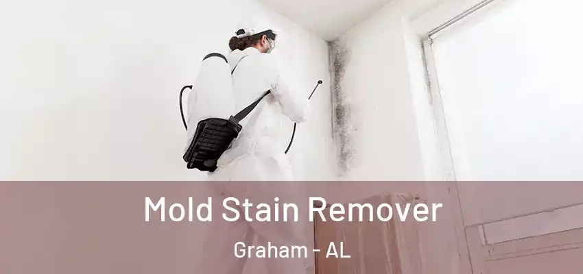 Mold Stain Remover Graham - AL