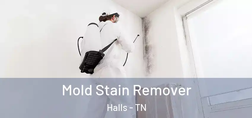  Mold Stain Remover Halls - TN