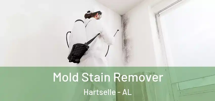Mold Stain Remover Hartselle - AL