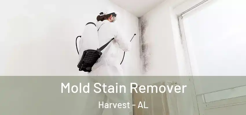  Mold Stain Remover Harvest - AL