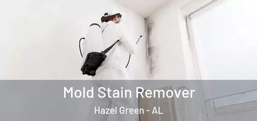  Mold Stain Remover Hazel Green - AL