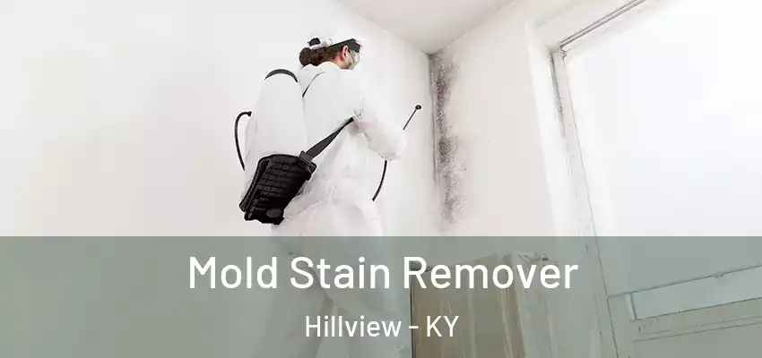 Mold Stain Remover Hillview - KY