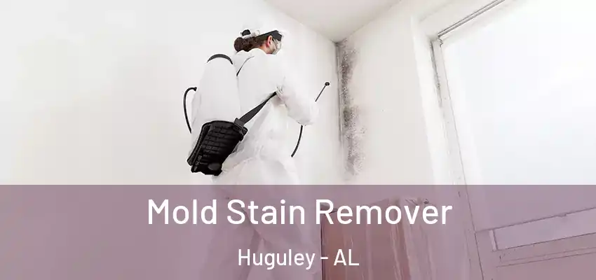  Mold Stain Remover Huguley - AL