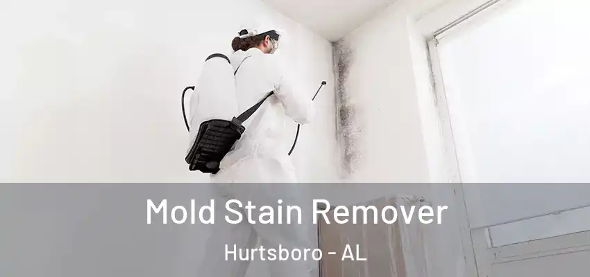 Mold Stain Remover Hurtsboro - AL