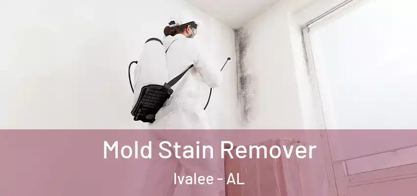 Mold Stain Remover Ivalee - AL