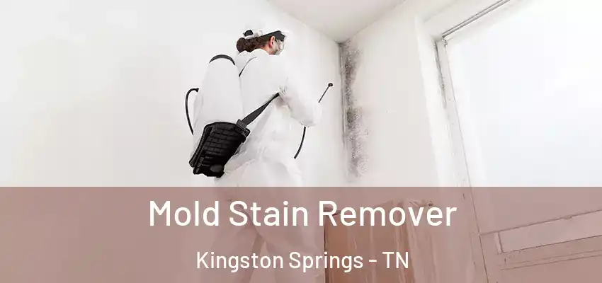  Mold Stain Remover Kingston Springs - TN