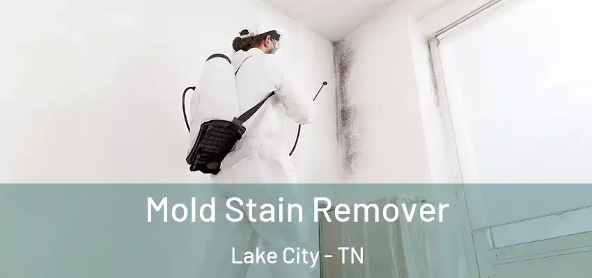 Mold Stain Remover Lake City - TN