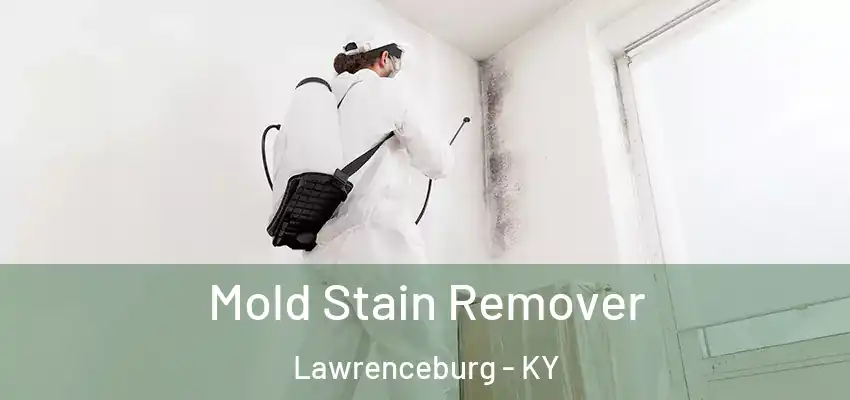 Mold Stain Remover Lawrenceburg - KY