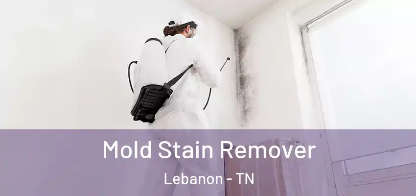  Mold Stain Remover Lebanon - TN