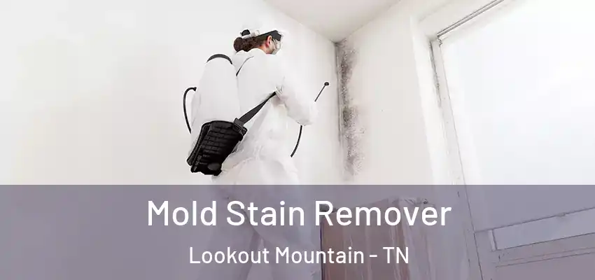 Mold Stain Remover Lookout Mountain - TN
