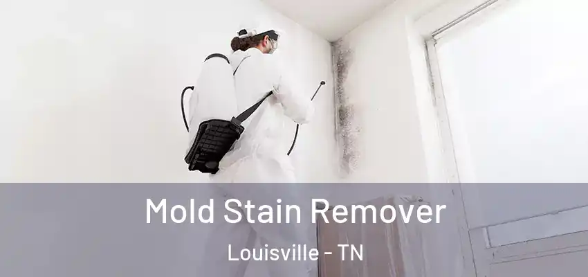  Mold Stain Remover Louisville - TN