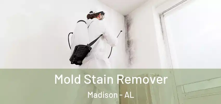  Mold Stain Remover Madison - AL