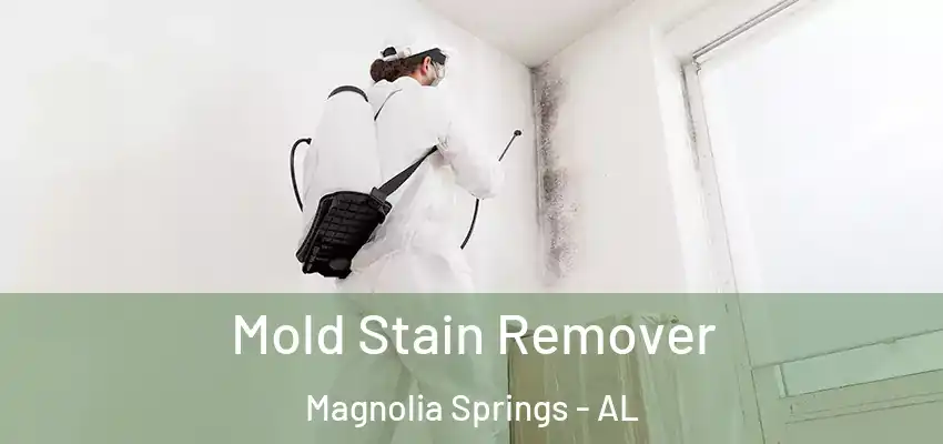 Mold Stain Remover Magnolia Springs - AL