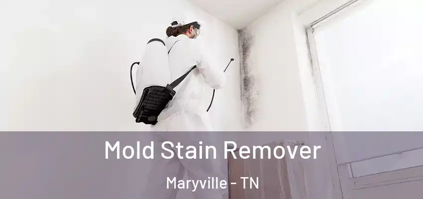  Mold Stain Remover Maryville - TN