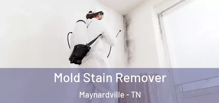  Mold Stain Remover Maynardville - TN