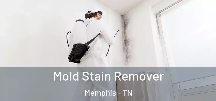  Mold Stain Remover Memphis - TN
