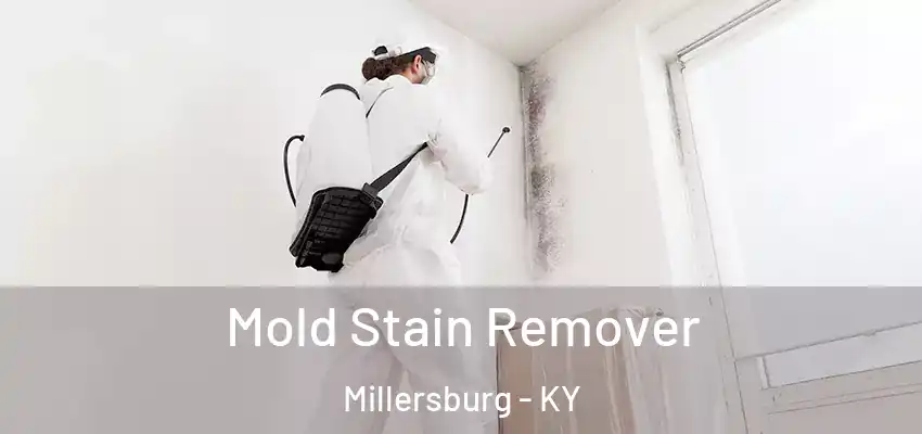 Mold Stain Remover Millersburg - KY